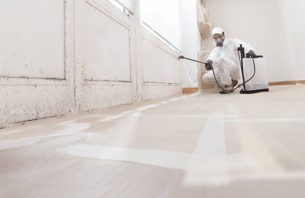 24/7 Emergency Mold Removal experts in Alamance, NC